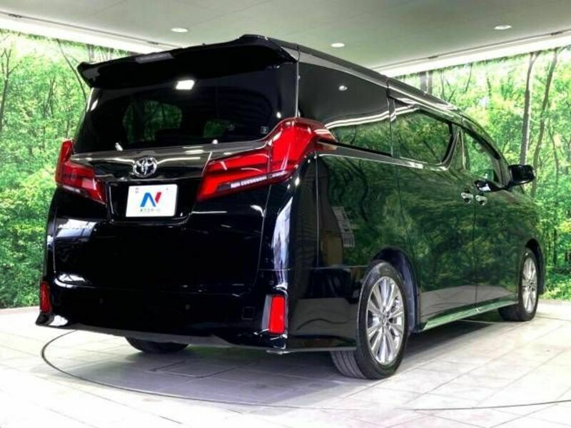 ALPHARD-18