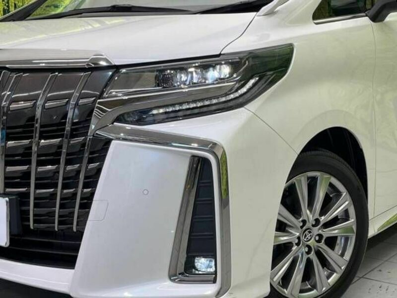 ALPHARD-13