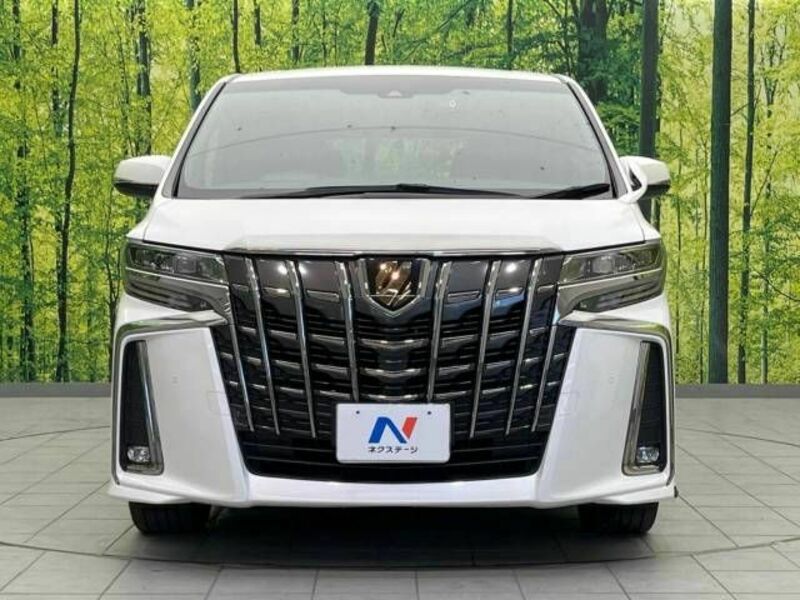 ALPHARD-15