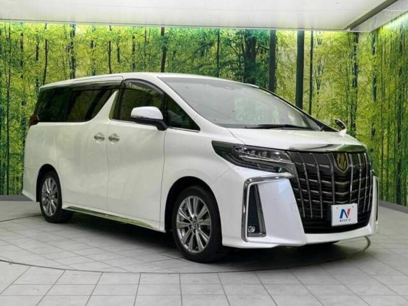 ALPHARD-17