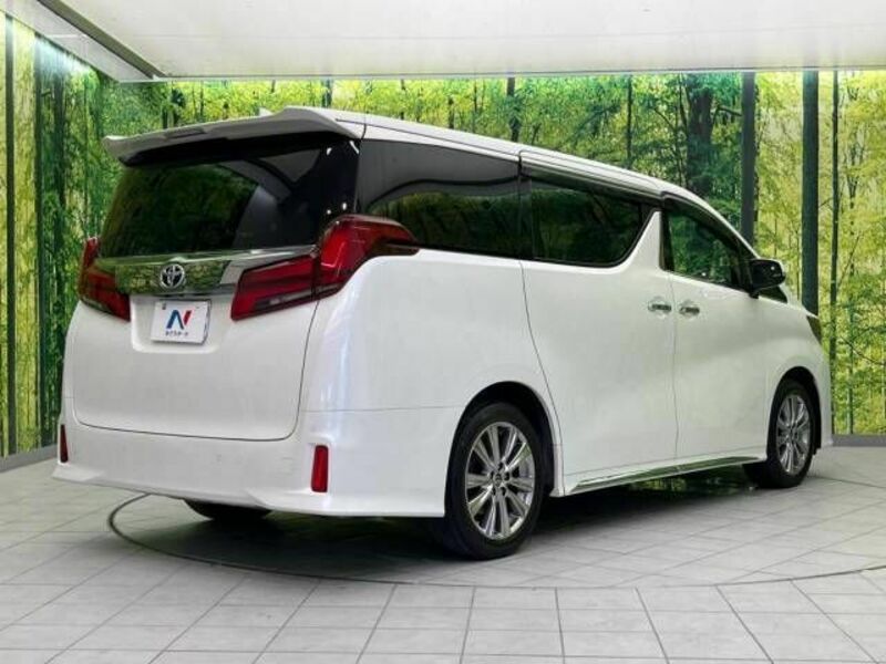 ALPHARD-18