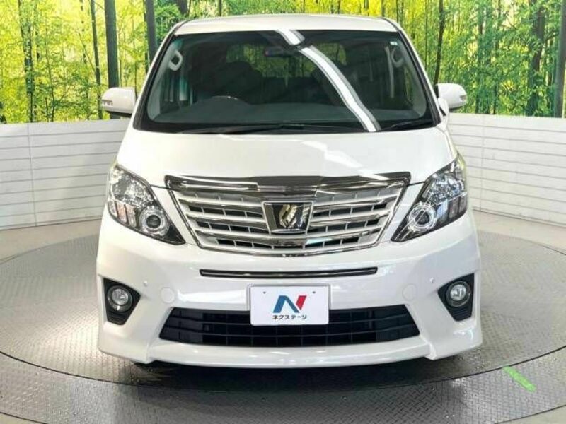 ALPHARD-15