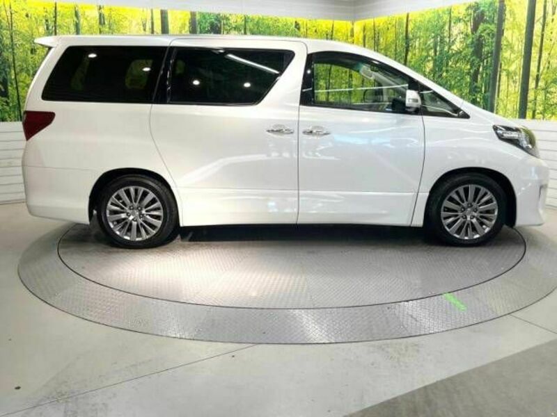 ALPHARD-17