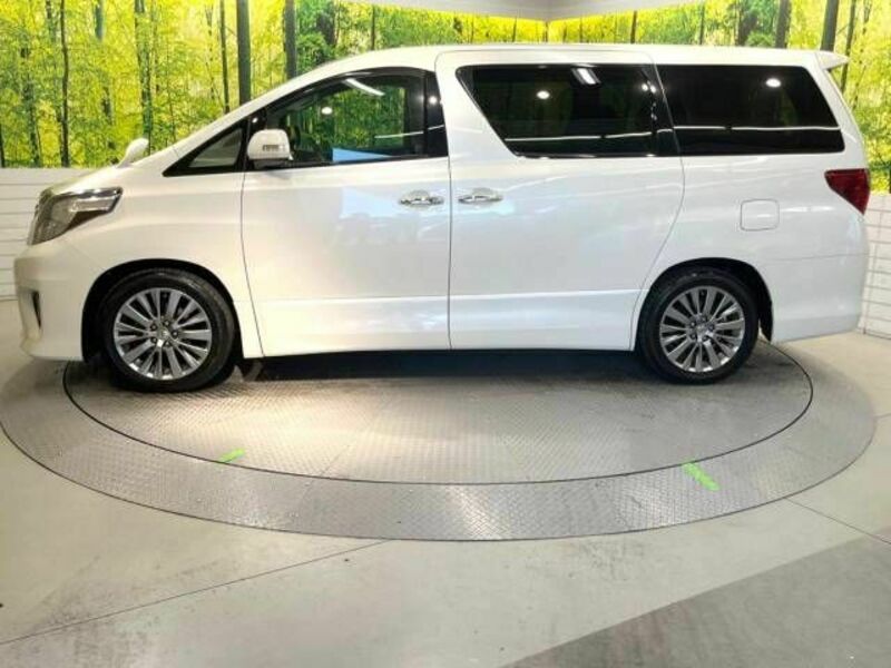 ALPHARD-18