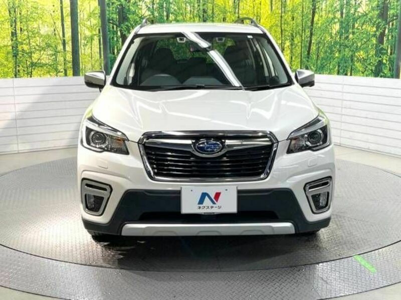 FORESTER-15