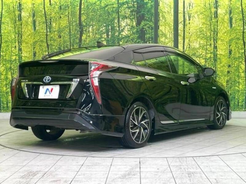 PRIUS-17