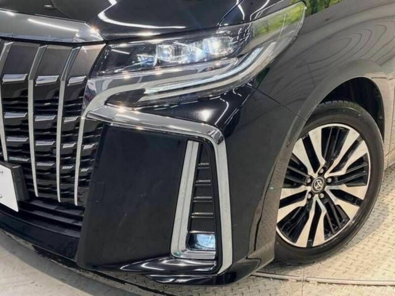 ALPHARD-13