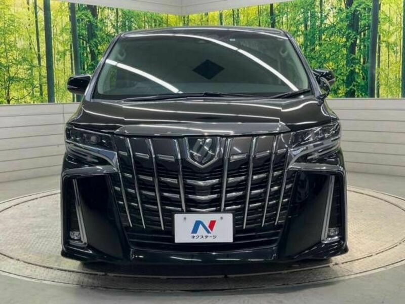 ALPHARD-15