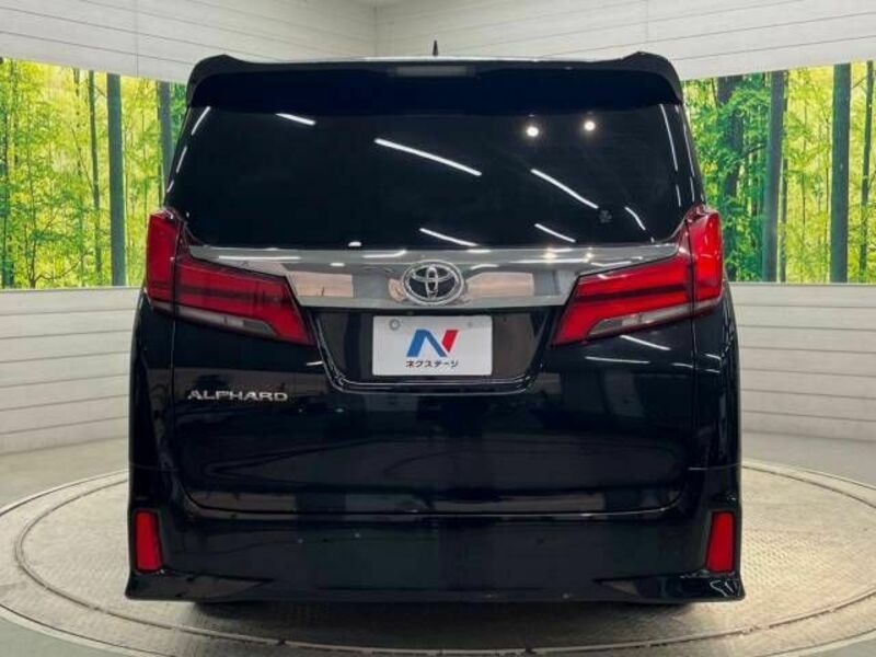 ALPHARD-16