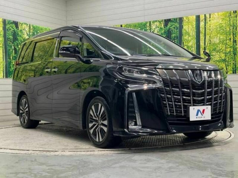 ALPHARD-17