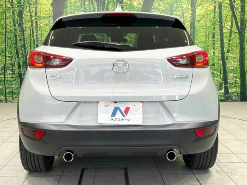 CX-3-15