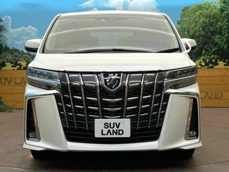 ALPHARD-16