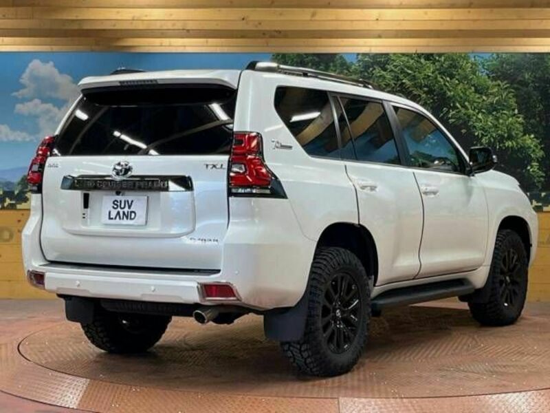 LAND CRUISER PRADO-19