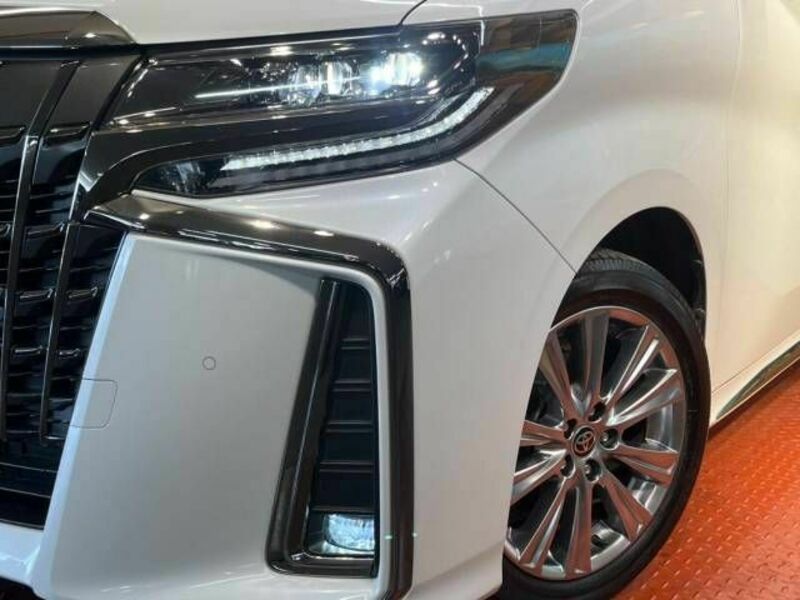 ALPHARD-13