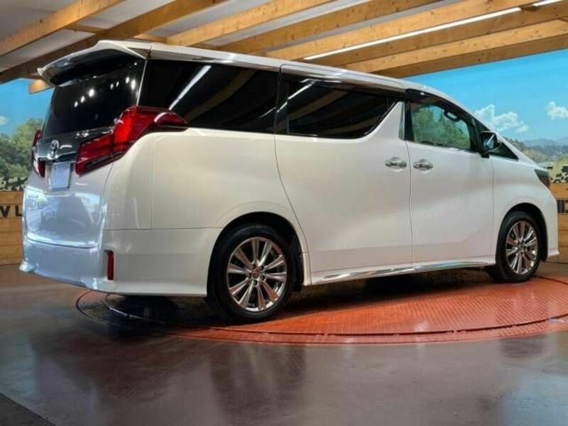 ALPHARD-18