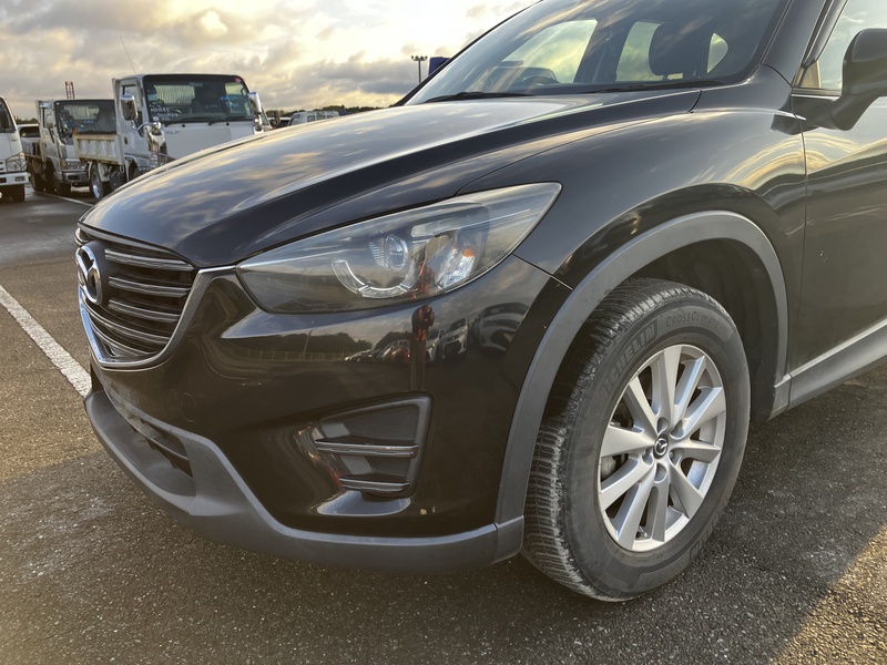 CX-5-41