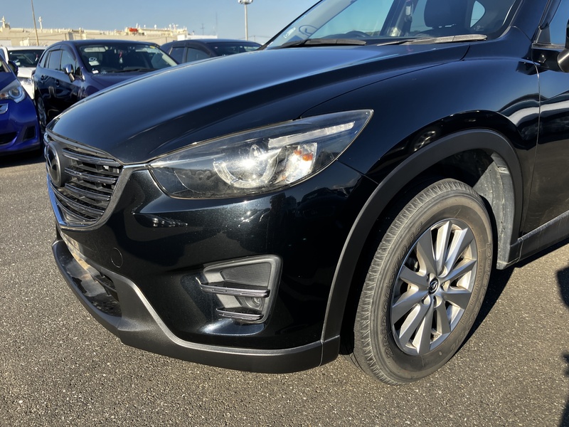 CX-5-41