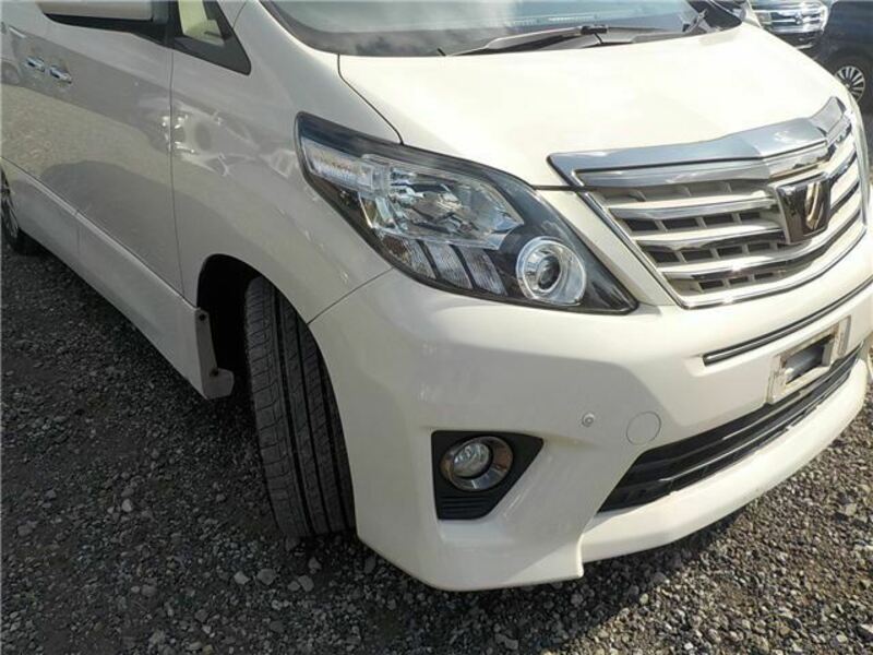 ALPHARD-41