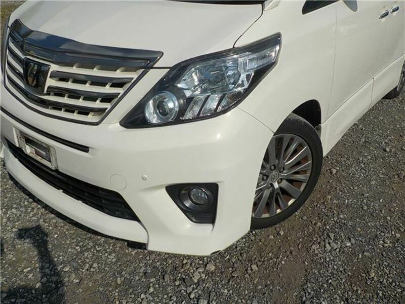 ALPHARD-43