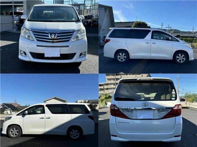 ALPHARD-4