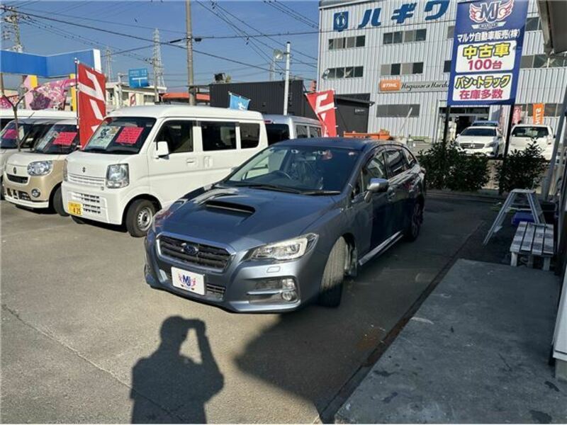 LEVORG-6