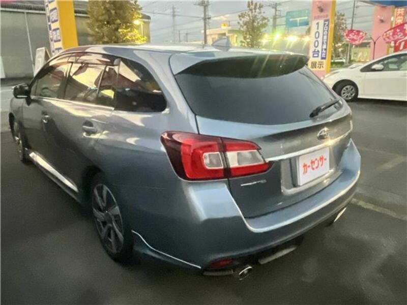 LEVORG-8