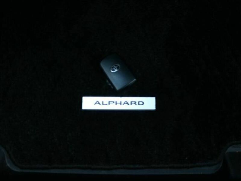 ALPHARD-33