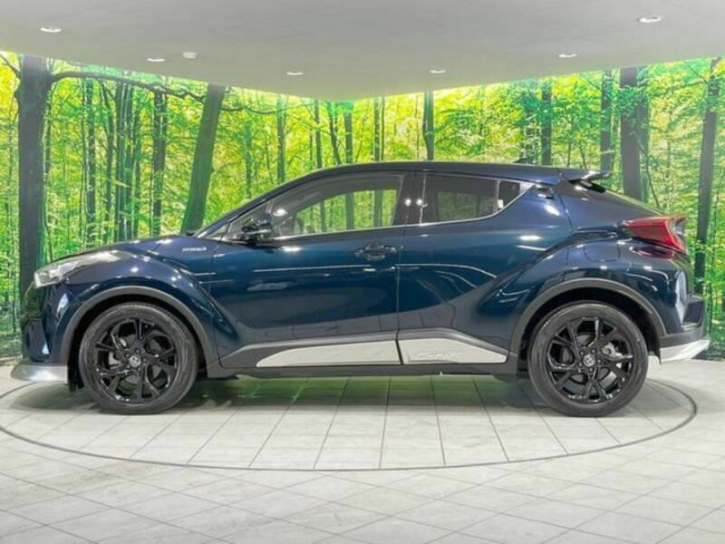 C-HR-8