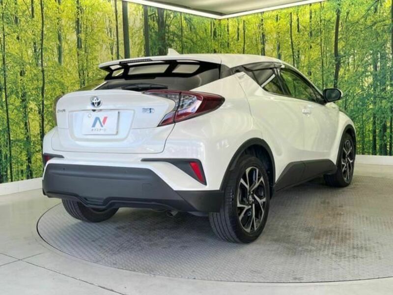 C-HR-1