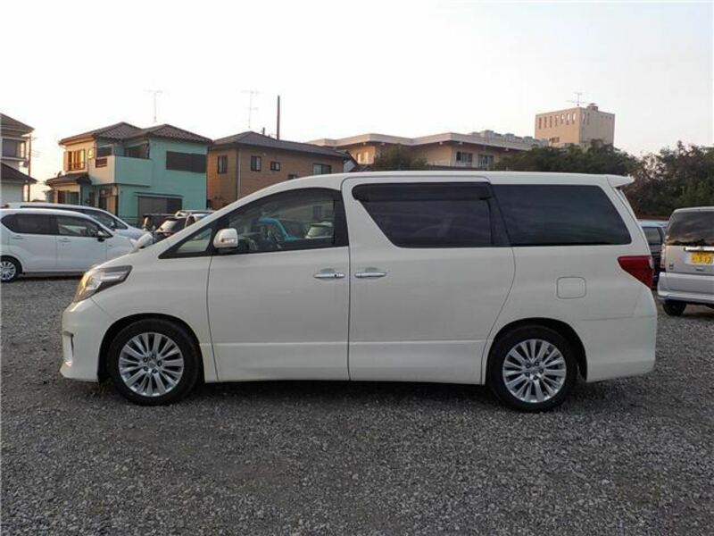 ALPHARD-7