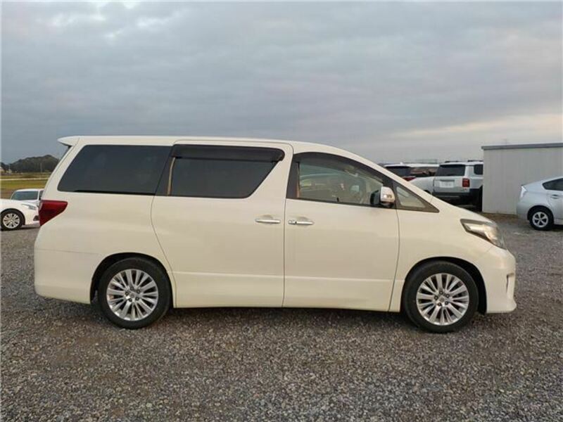 ALPHARD-10