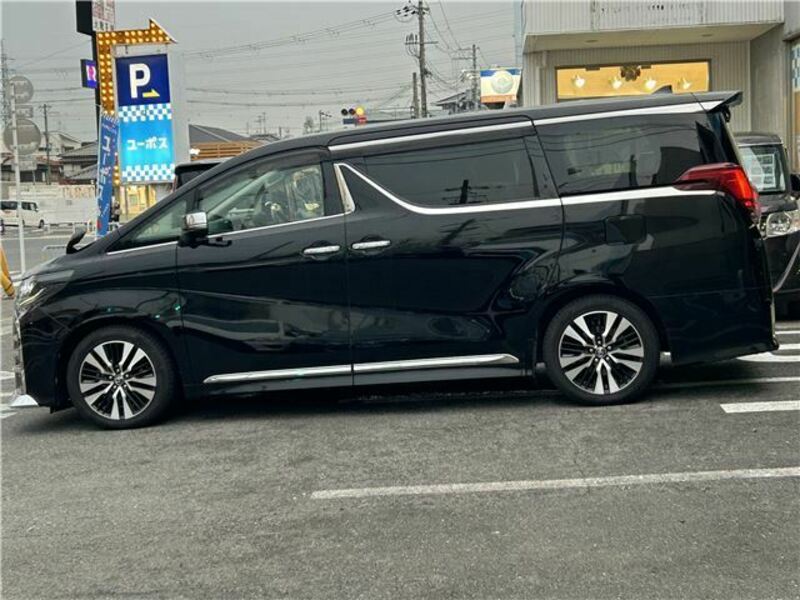 ALPHARD-10