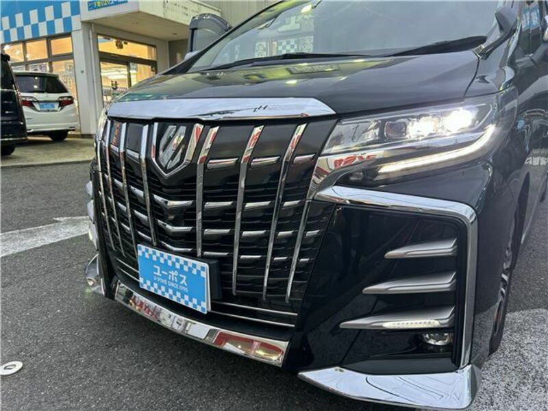 ALPHARD-42