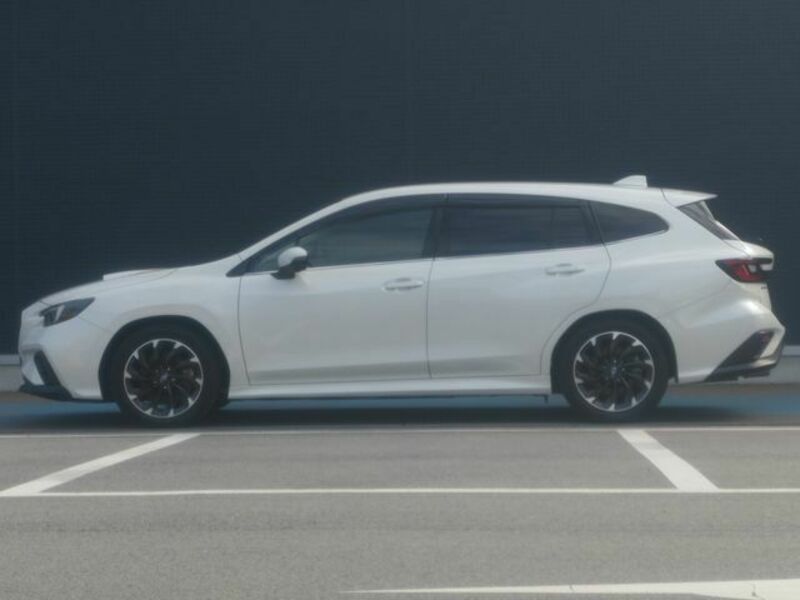 LEVORG-24