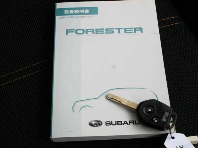 FORESTER-17