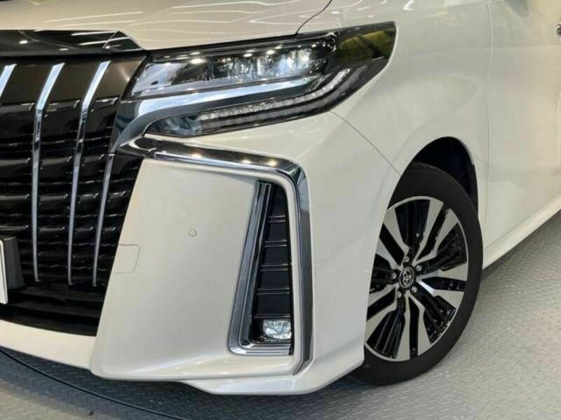 ALPHARD-13