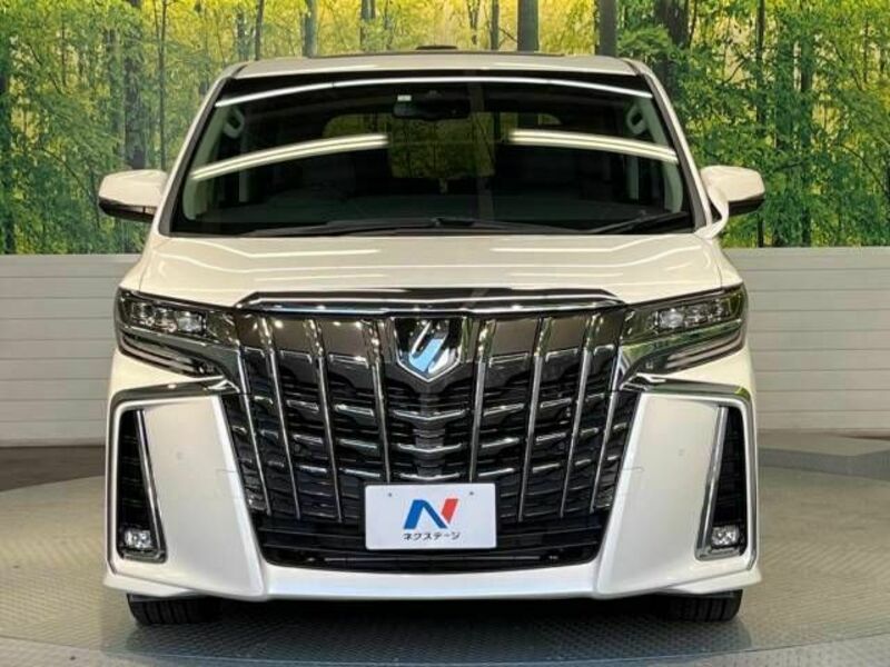 ALPHARD-15