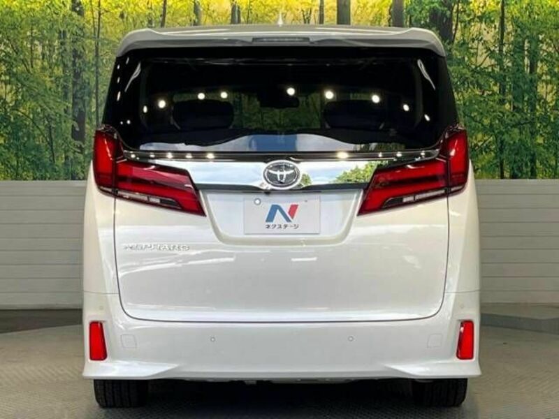 ALPHARD-16