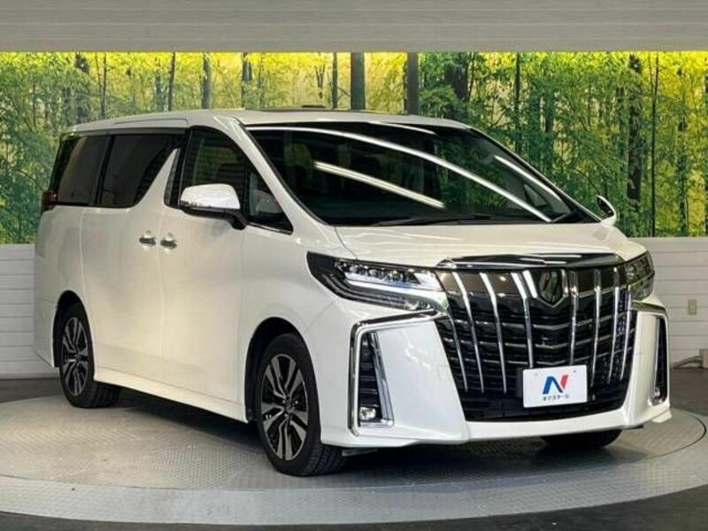 ALPHARD-17