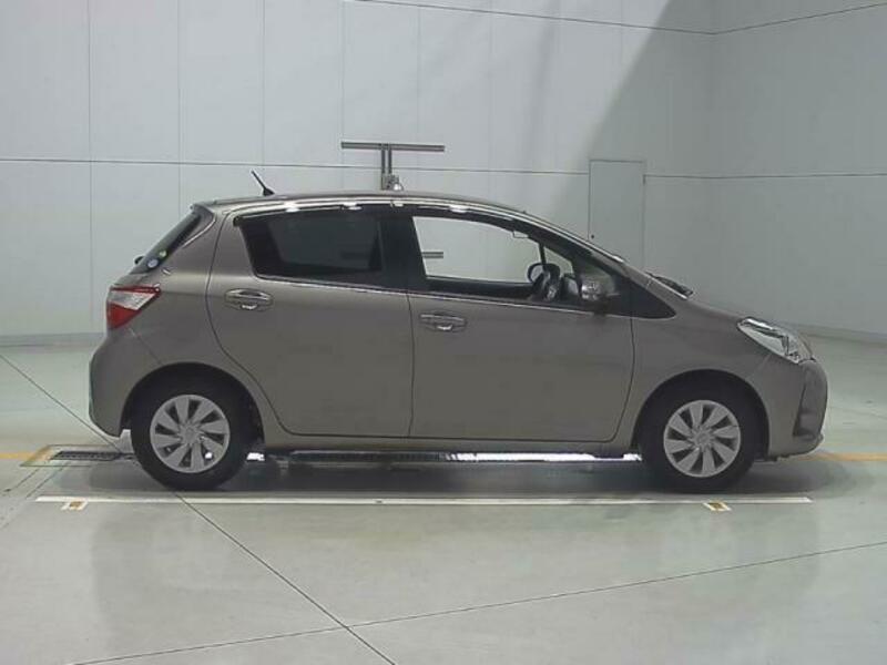 VITZ-3