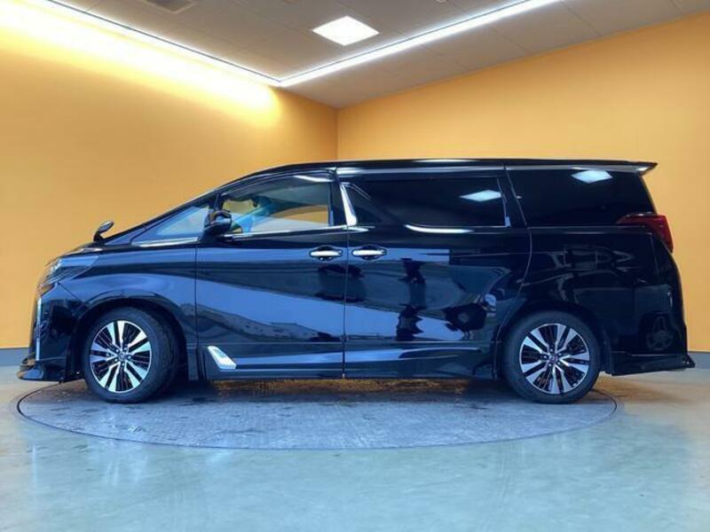 ALPHARD-12