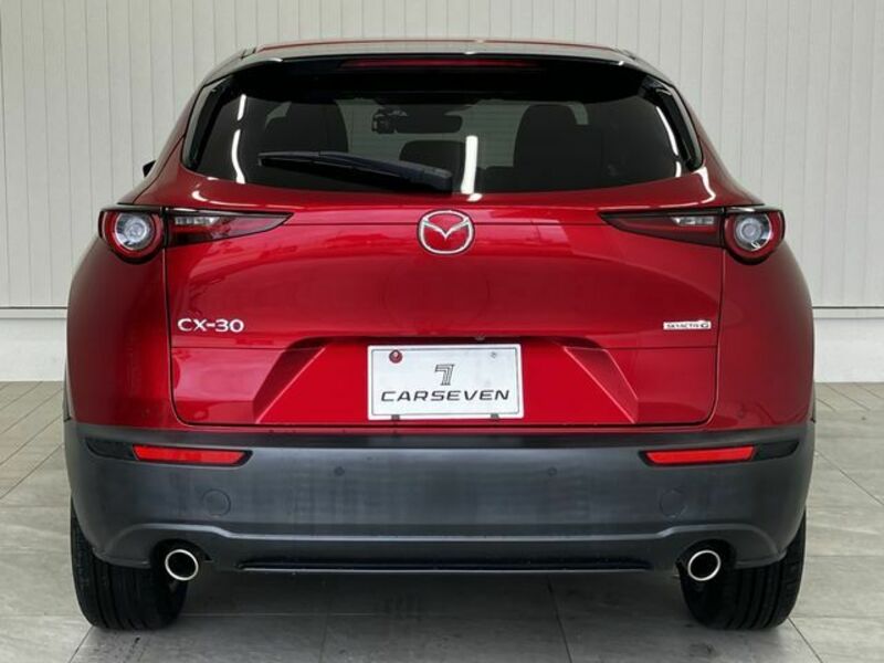 CX-30-3