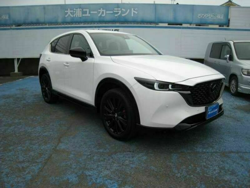 CX-5-3