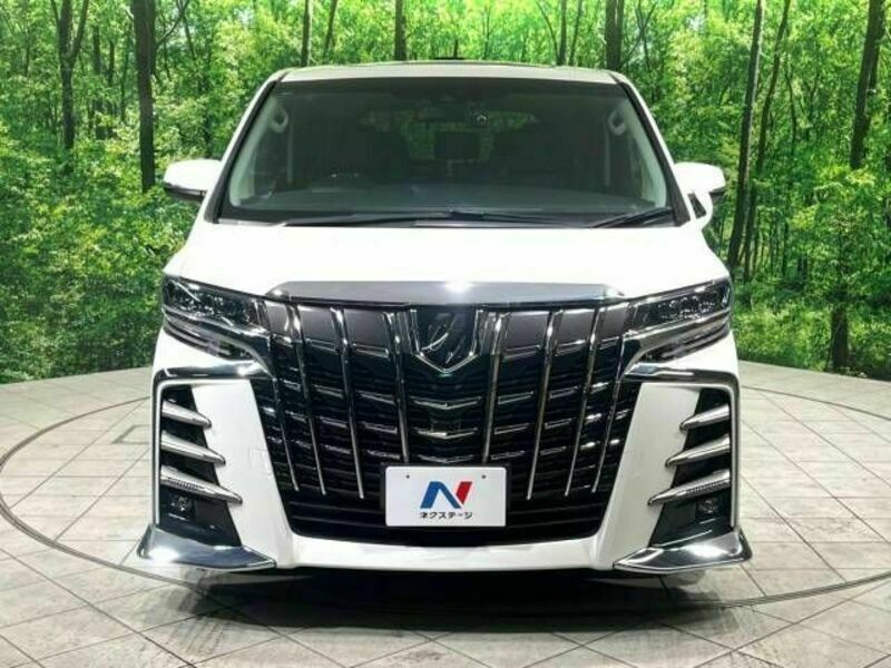 ALPHARD-17