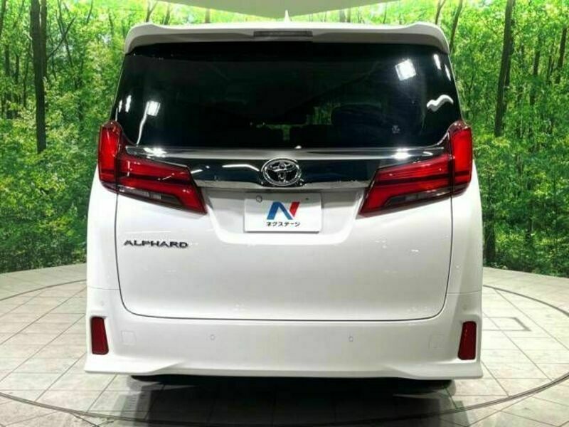 ALPHARD-18