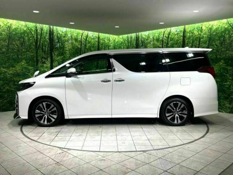 ALPHARD-19