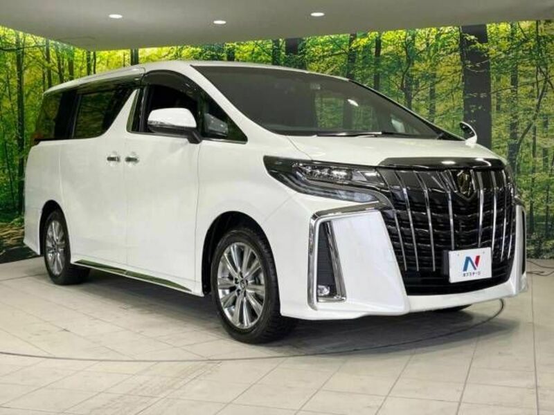 ALPHARD-16