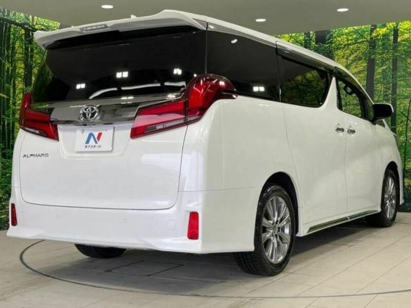 ALPHARD-17