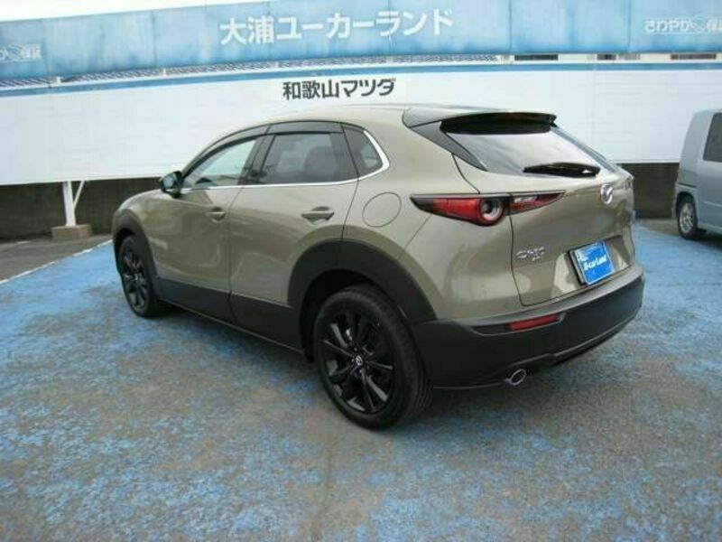 CX-30-2