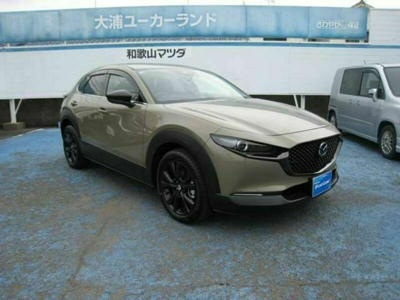 CX-30-3